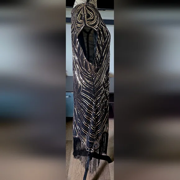 1920s Great Gatsby Flapper Plus Size Sequin Fringe Cap Sleeve Dress Vintage 2X - Picture 9 of 15